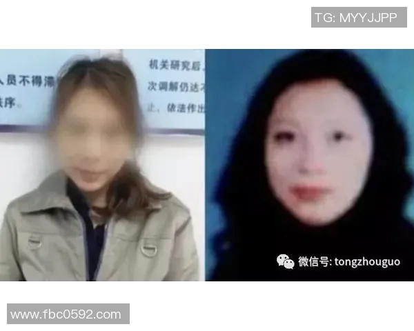 电竞新闻探索张娜的CSGO人生背后的故事与成长历程